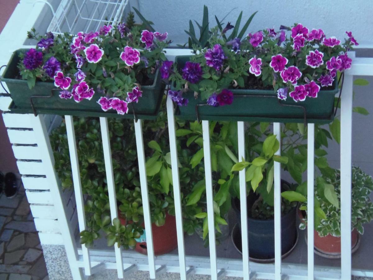 פולה Apartments Lana מראה חיצוני תמונה